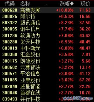 股票配资十大排名 算力概念盘中震荡拉升，高新发展涨停再创新高